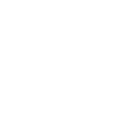 Fox Home Innovations white logo